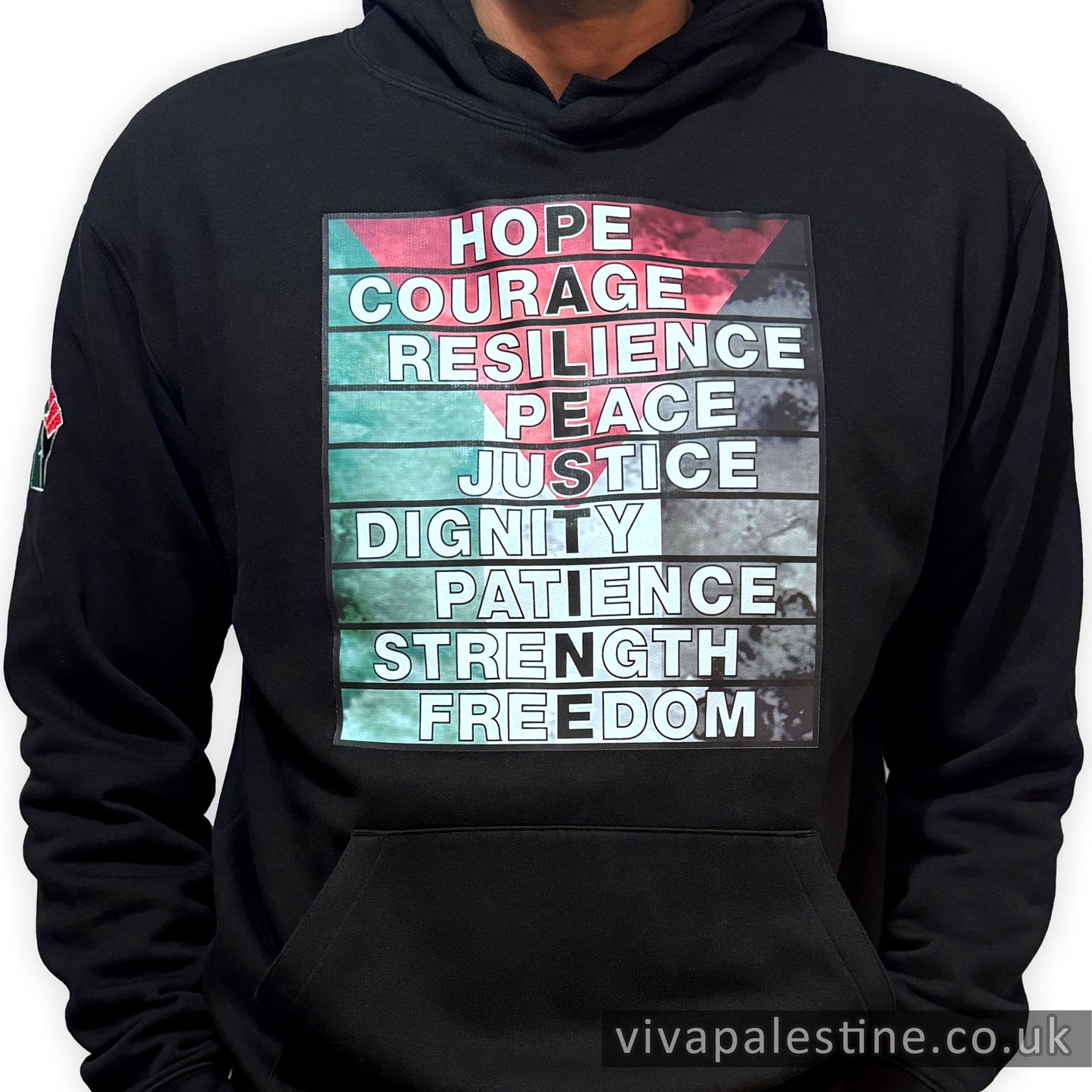 Defining Palestine Premium Hoodie
