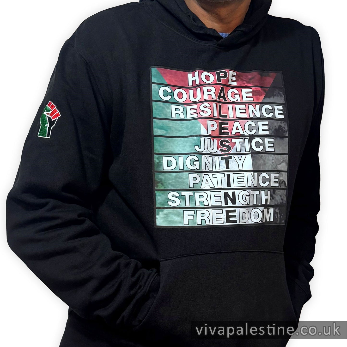 Defining Palestine Premium Hoodie